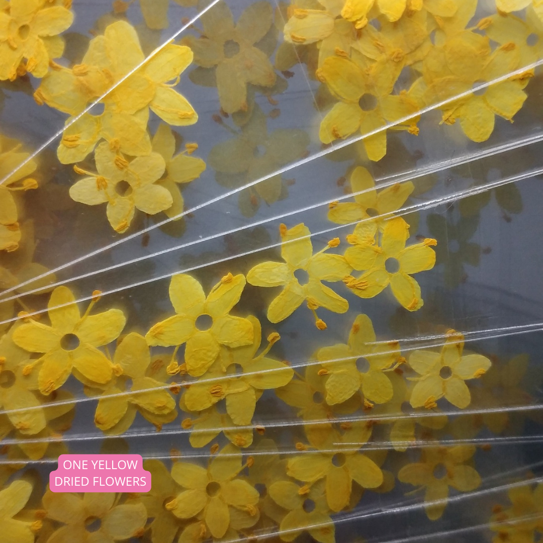 One yellow Dried Flowers