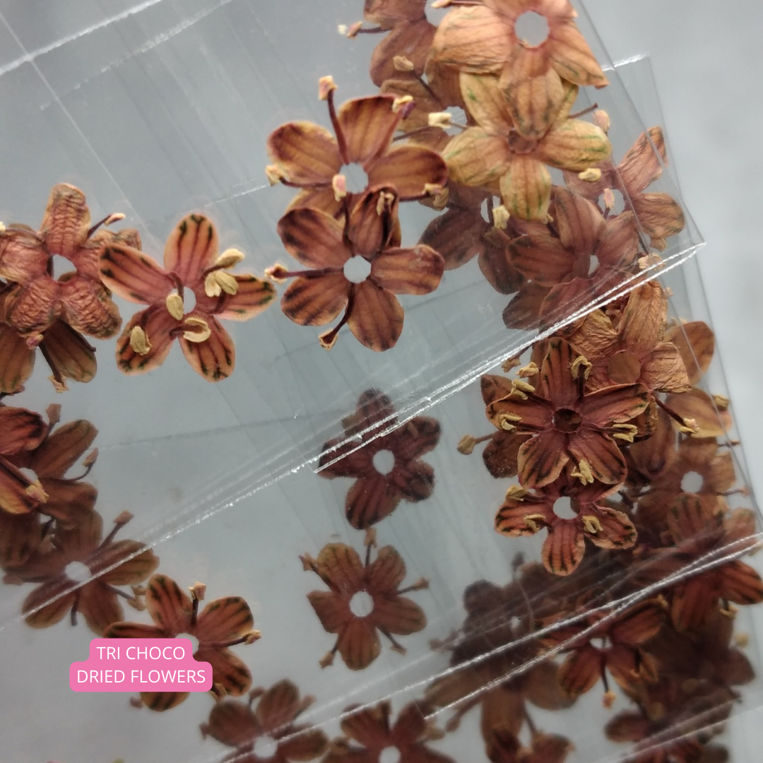Tri Choco Dried Flowers