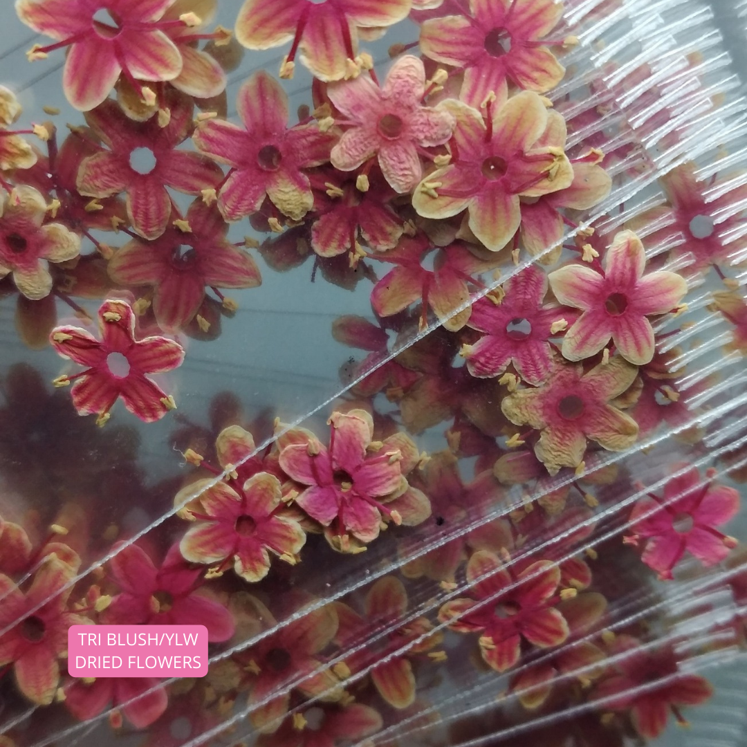 Tri Blush/Ylw Dried Flowers