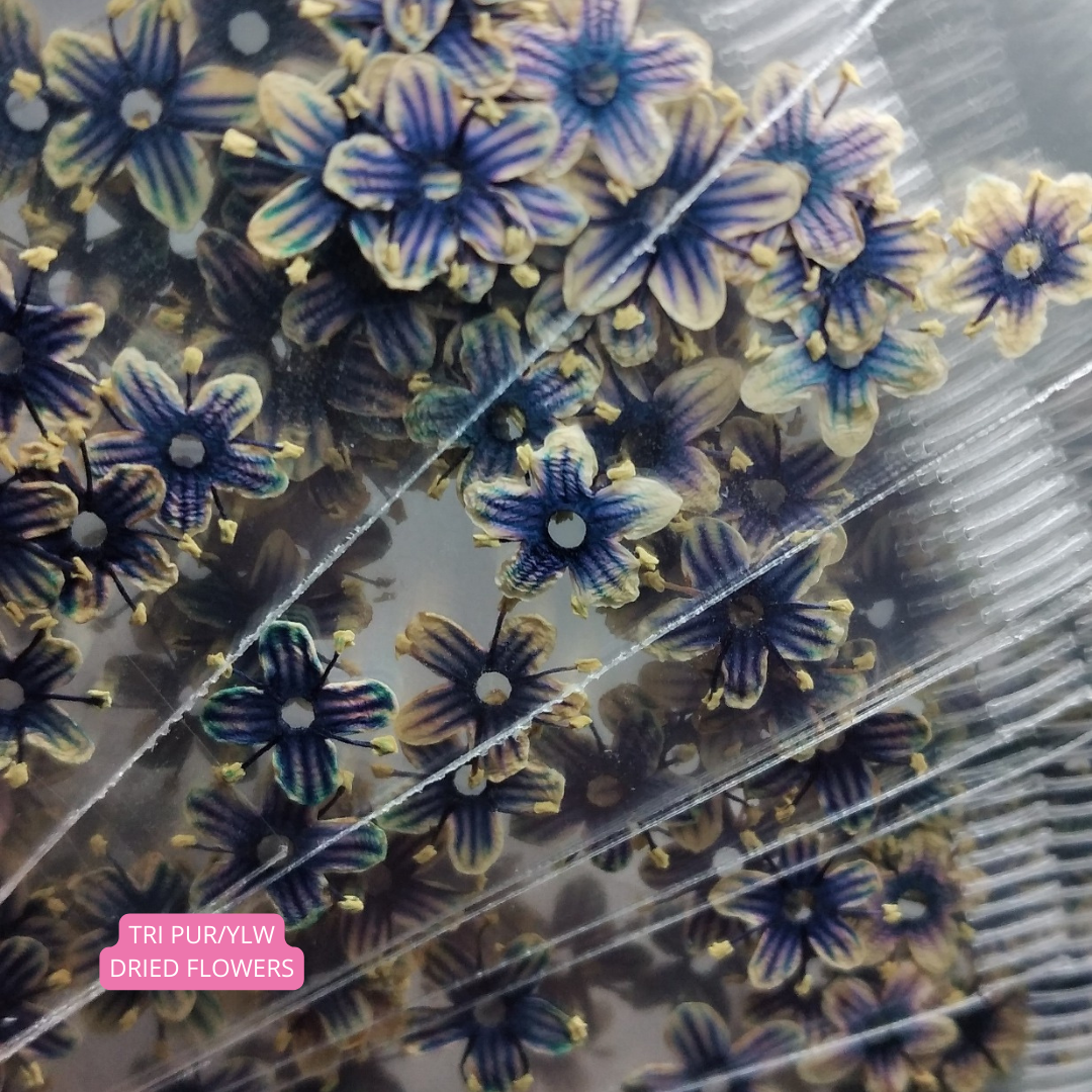 Tri Pur/Ylw Dried Flowers