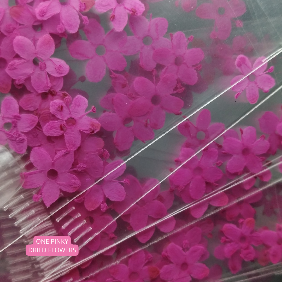 One Pinky Dried Flowers