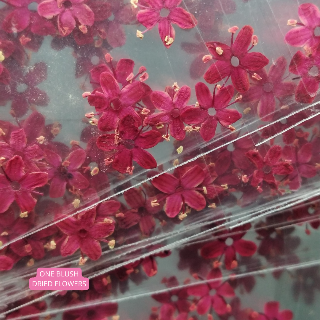 One Blush Dried Flowers