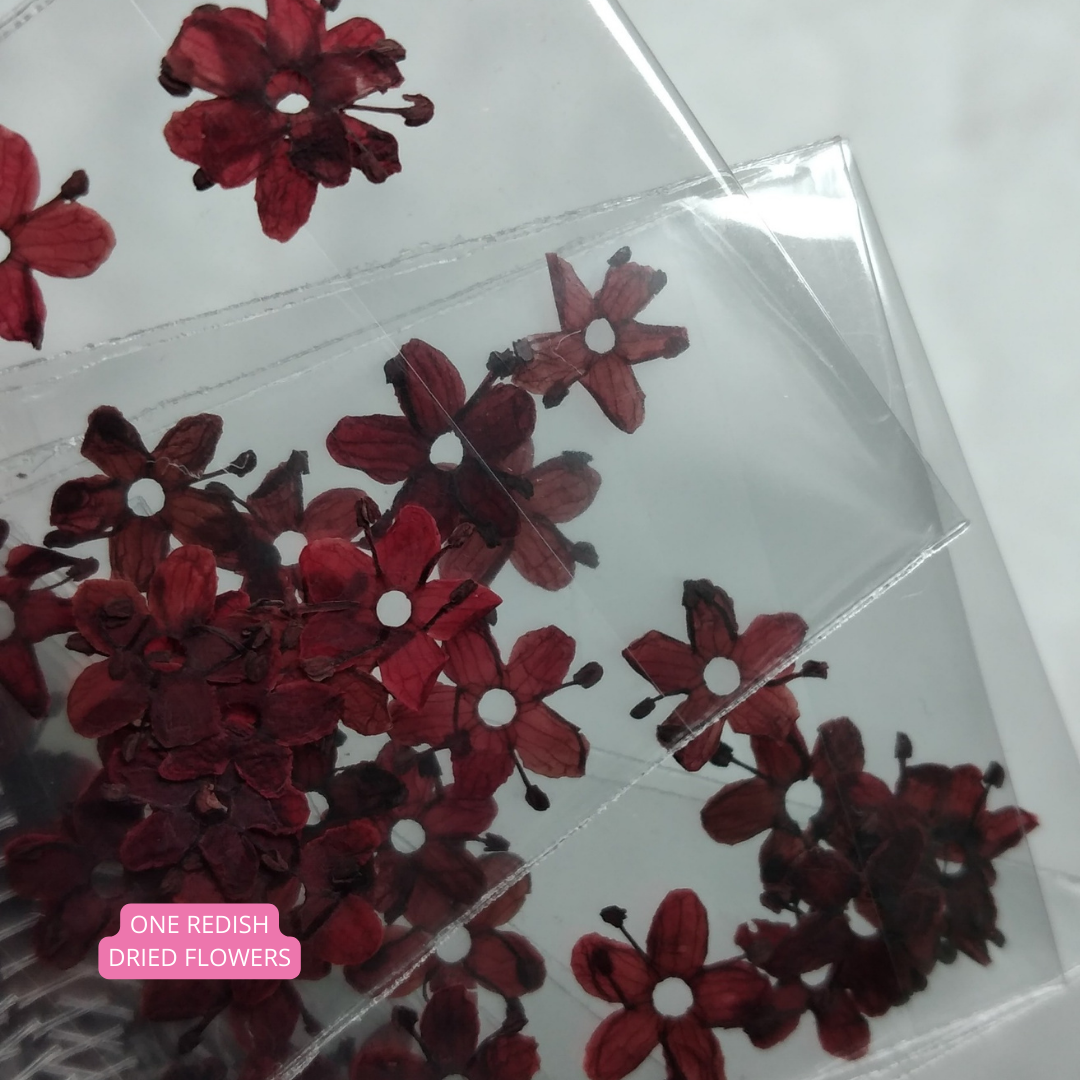 One Redish Dried Flowers
