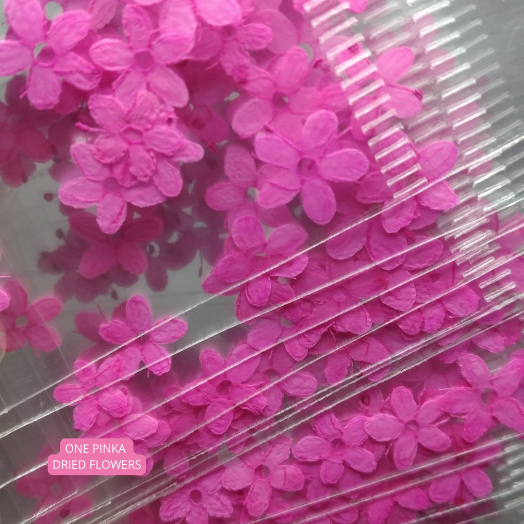 One Pinka Dried Flowers