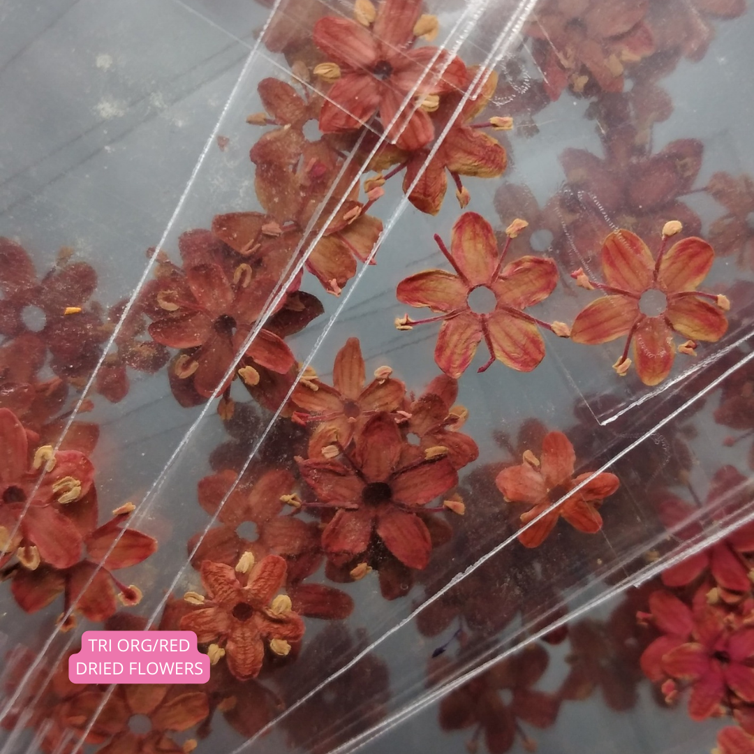 Tri Org/Red Dried Flowers