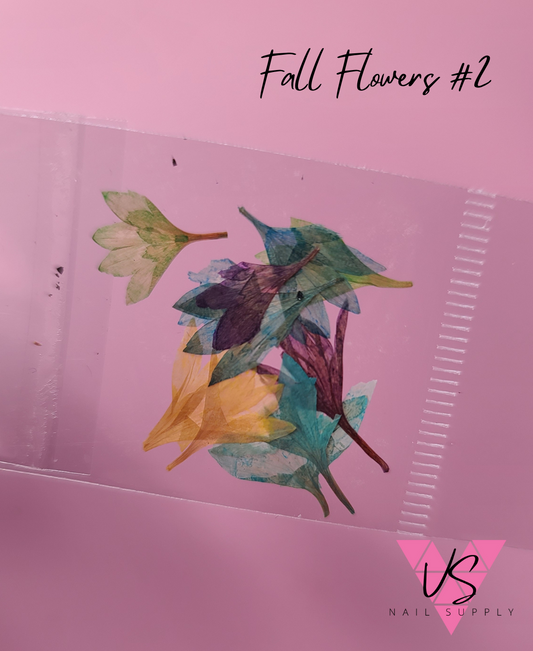 Fall Flowers #2