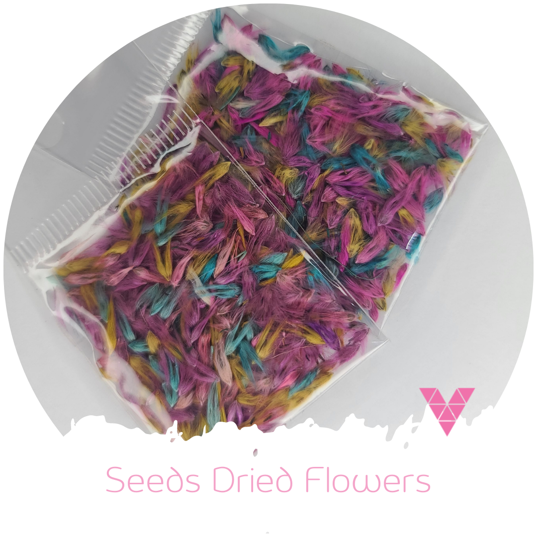 Seeds Dried Flowers