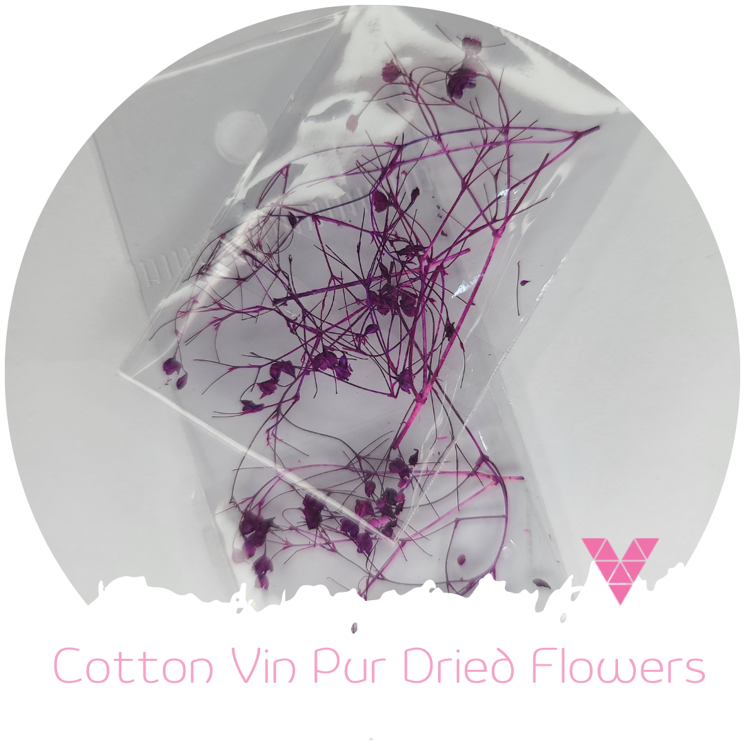 Cotton Vin Pur Dried Flowers