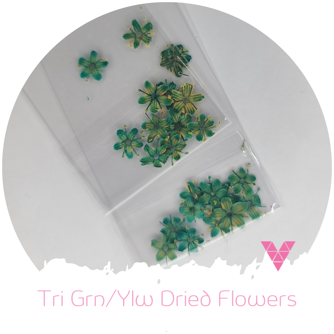 Tri Grn/Ylw Dried Flower