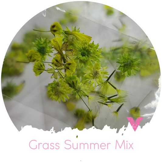 Grass Summer Mix