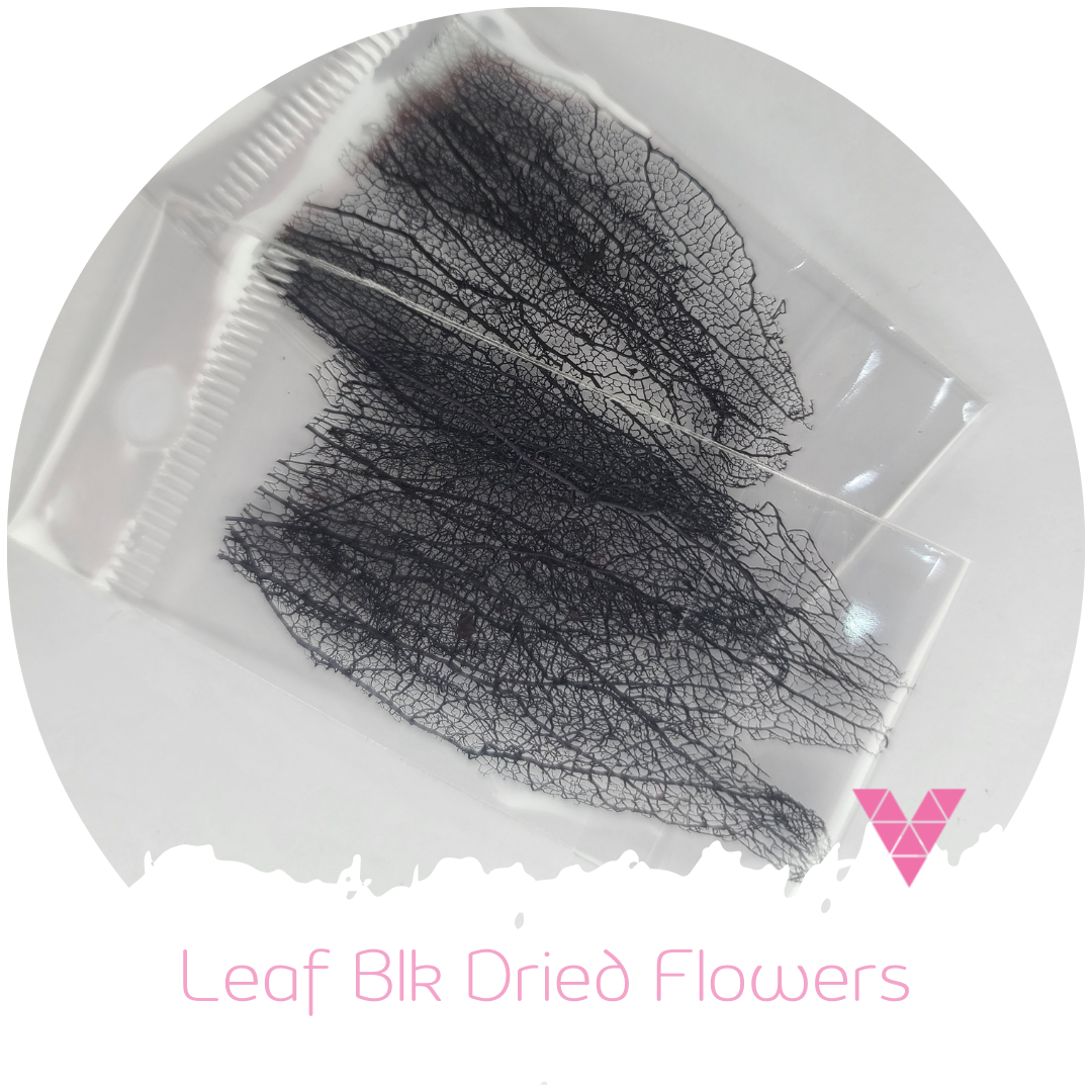 Leaf Blk Dried Flowers