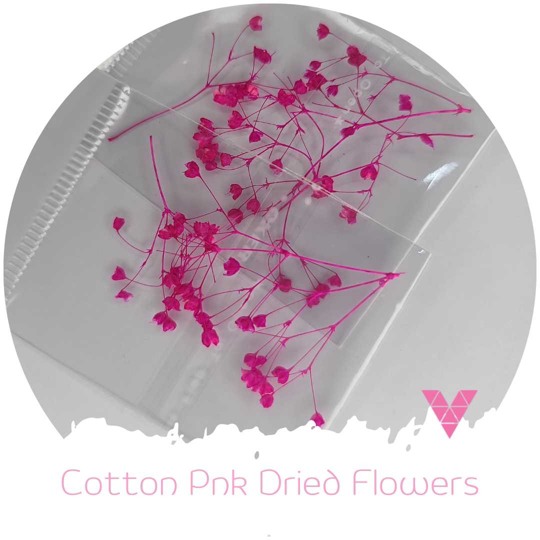 Cotton Pnk Dried Flowers
