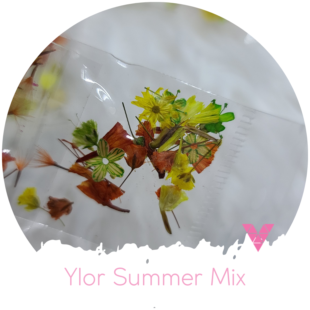 Ylor Summer Mix