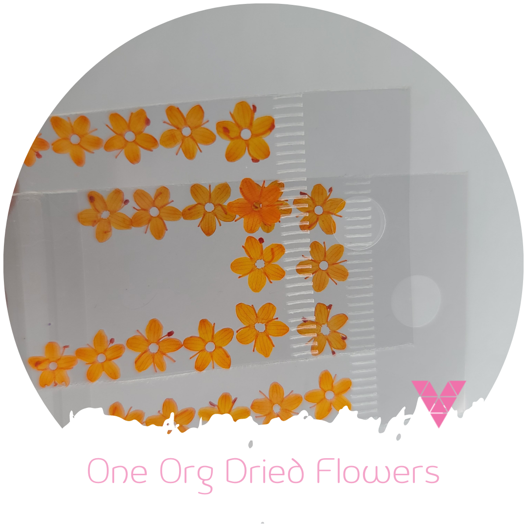 Flores secas de una sola organización