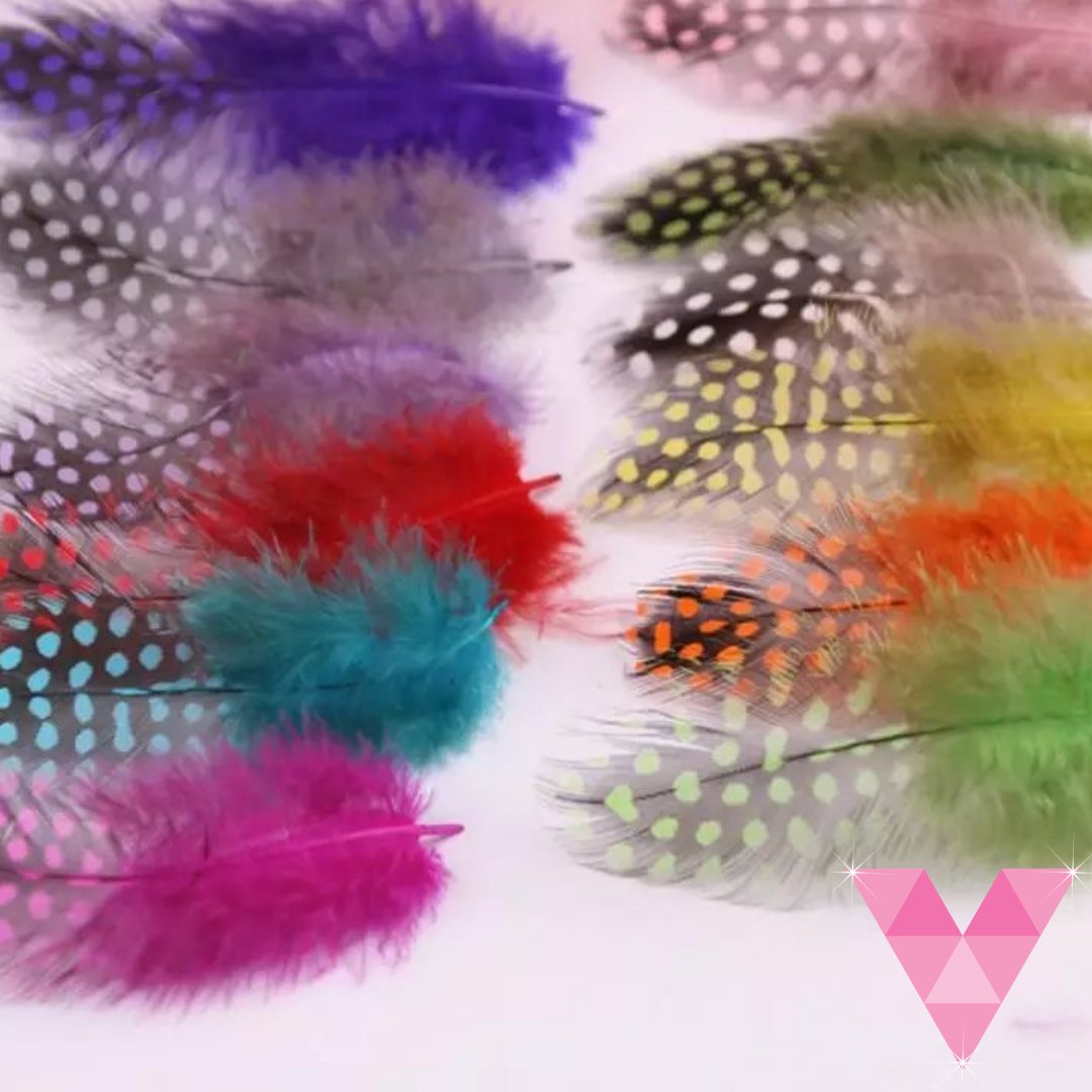 Paquete de plumas de varios colores